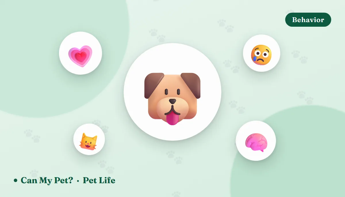 Can Pets Sense Emotions? What Dogs & Cats Actually Pick Up On