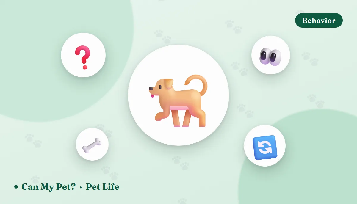 Common Dog Behaviors Explained: 14 Odd Habits, Decoded