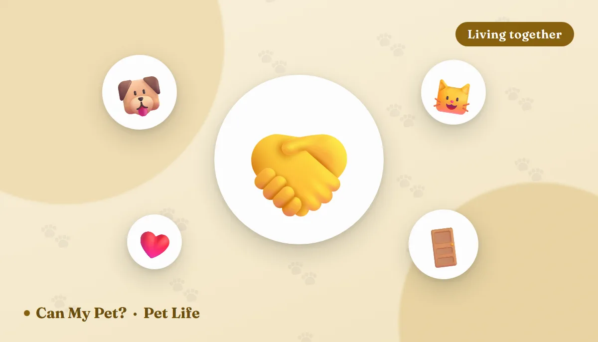 How to Introduce a New Pet: A Calm, Step-by-Step Guide