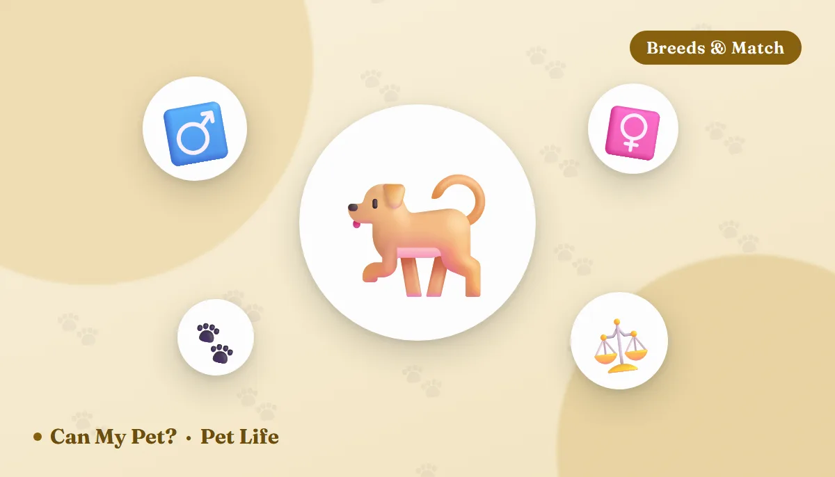 Male vs Female Dogs: What Actually Differs (and What Doesn't)